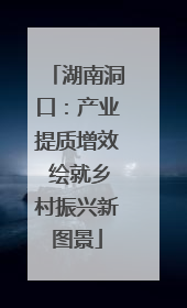 湖南洞口：产业提质增效 绘就乡村振兴新图景