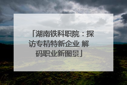 湖南铁科职院：探访专精特新企业 解码职业新图景