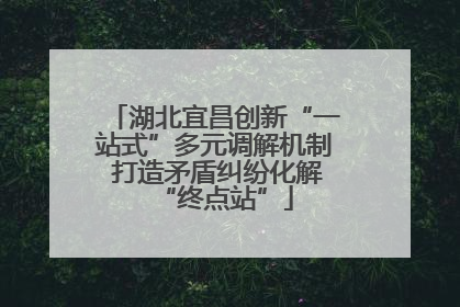 湖北宜昌创新“一站式”多元调解机制 打造矛盾纠纷化解“终点站”