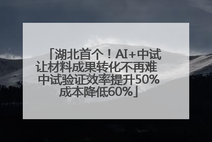 湖北首个！AI+中试让材料成果转化不再难 中试验证效率提升50%成本降低60%