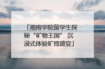 湘南学院留学生探秘“矿物王国” 沉浸式体验矿博盛宴