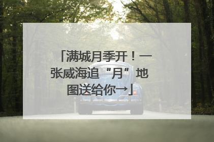 满城月季开！一张威海追“月”地图送给你→