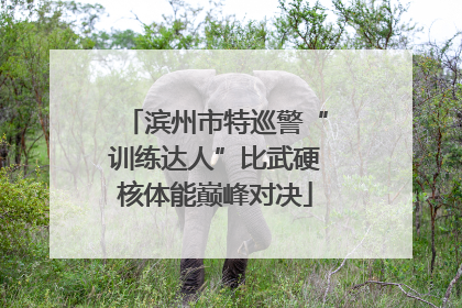 滨州市特巡警“训练达人”比武硬核体能巅峰对决