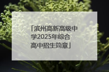 滨州高新高级中学2025年综合高中招生简章