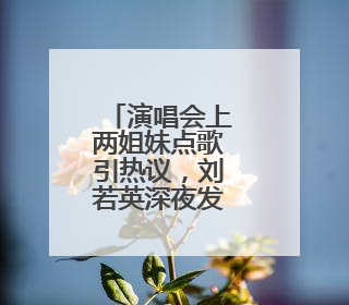 演唱会上两姐妹点歌引热议，刘若英深夜发长文致歉