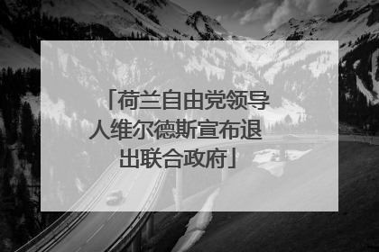荷兰自由党领导人维尔德斯宣布退出联合政府