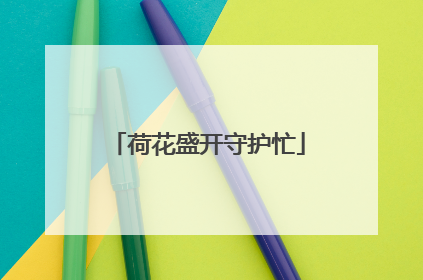荷花盛开守护忙