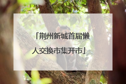 荆州新城首届懒人交换市集开市