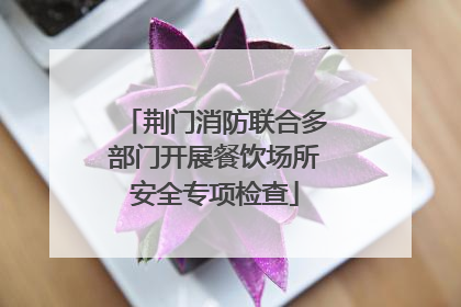 荆门消防联合多部门开展餐饮场所安全专项检查
