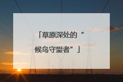 草原深处的“候鸟守望者”