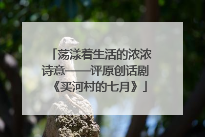 荡漾着生活的浓浓诗意——评原创话剧《买河村的七月》