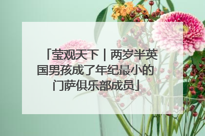 莹观天下｜两岁半英国男孩成了年纪最小的门萨俱乐部成员