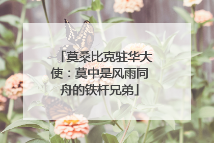 莫桑比克驻华大使：莫中是风雨同舟的铁杆兄弟