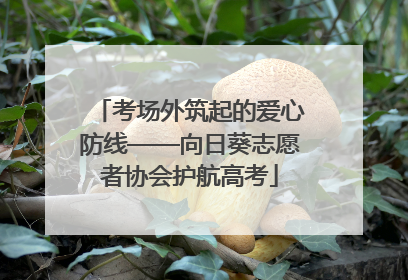 考场外筑起的爱心防线——向日葵志愿者协会护航高考