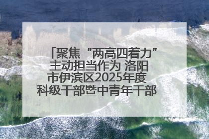 聚焦“两高四着力” 主动担当作为 洛阳市伊滨区2025年度科级干部暨中青年干部培训班开班