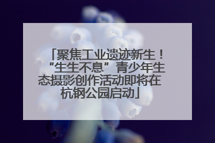 聚焦工业遗迹新生！“生生不息”青少年生态摄影创作活动即将在杭钢公园启动