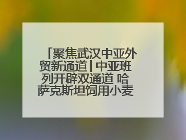 聚焦武汉中亚外贸新通道│中亚班列开辟双通道 哈萨克斯坦饲用小麦将抵鄂