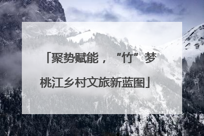 聚势赋能，“竹”梦桃江乡村文旅新蓝图