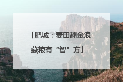 肥城：麦田翻金浪藏粮有“智”方