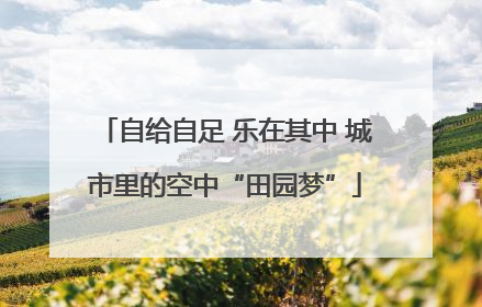 自给自足 乐在其中 城市里的空中“田园梦”