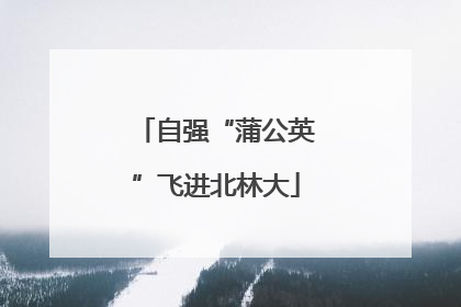 自强“蒲公英”飞进北林大