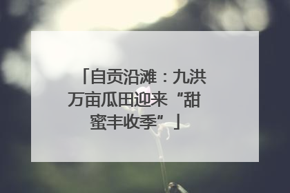 自贡沿滩：九洪万亩瓜田迎来“甜蜜丰收季”