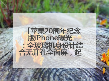 苹果20周年纪念版iPhone曝光：全玻璃机身设计结合无开孔全面屏，起售价或达1.45万人民币