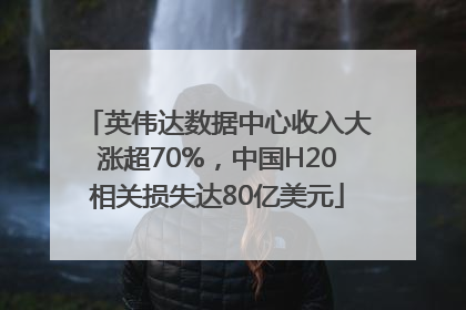 英伟达数据中心收入大涨超70%，中国H20相关损失达80亿美元