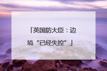英国防大臣：边境“已经失控”
