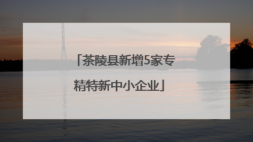 茶陵县新增5家专精特新中小企业