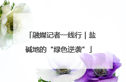 融媒记者一线行｜盐碱地的“绿色逆袭”