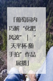 葡萄园内巧解“化肥风波”｜“天平杯·随手拍”作品展播