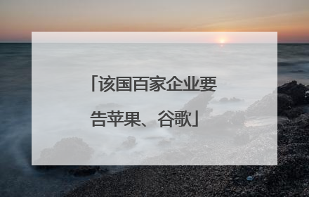 该国百家企业要告苹果、谷歌
