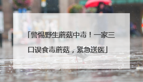 警惕野生蘑菇中毒！一家三口误食毒蘑菇，紧急送医