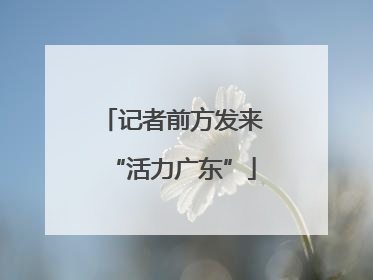 记者前方发来“活力广东”