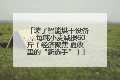 装了智能烘干设备，每吨小麦减损60斤（经济聚焦·夏收里的“新选手”）