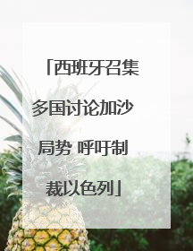 西班牙召集多国讨论加沙局势 呼吁制裁以色列