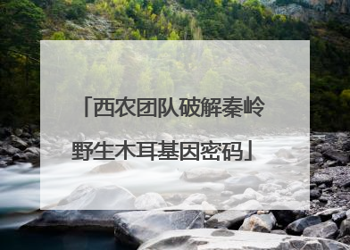 西农团队破解秦岭野生木耳基因密码