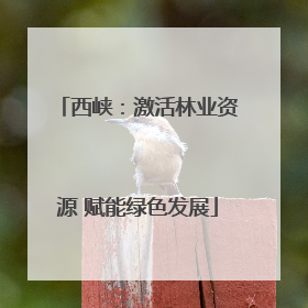 西峡：激活林业资源 赋能绿色发展