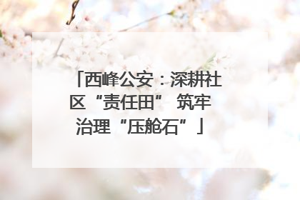 西峰公安：深耕社区“责任田” 筑牢治理“压舱石”