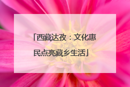 西藏达孜：文化惠民点亮藏乡生活