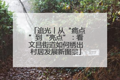 追光丨从“痛点”到“亮点”：看文昌街道如何绣出村居发展新图景