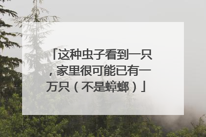 这种虫子看到一只，家里很可能已有一万只（不是蟑螂）