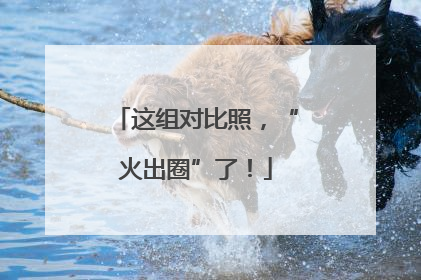 这组对比照，“火出圈”了！