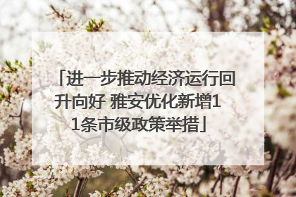 进一步推动经济运行回升向好 雅安优化新增11条市级政策举措