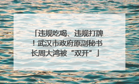 违规吃喝、违规打牌！武汉市政府原副秘书长周大鸿被“双开”