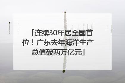 连续30年居全国首位！广东去年海洋生产总值破两万亿元