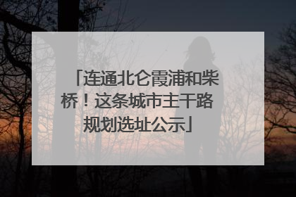 连通北仑霞浦和柴桥！这条城市主干路规划选址公示