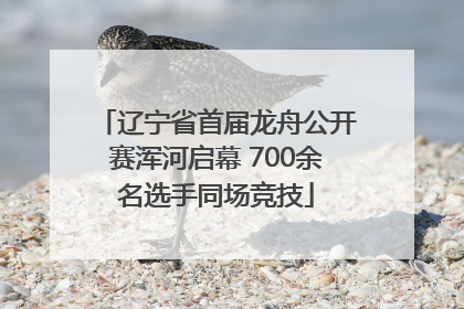 辽宁省首届龙舟公开赛浑河启幕 700余名选手同场竞技