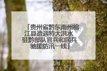 贵州省黔东南州榕江县遭遇特大洪水 驻黔部队官兵和民兵驰援防汛一线